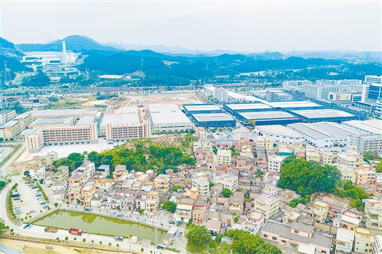 产业振兴是乡村振兴的重中之重。棠下镇莲塘村主动融入蓬江产业园发展大局，通过“物业代建+返租”模式实现村集体经济与产业发展的互促双赢。刘淑君