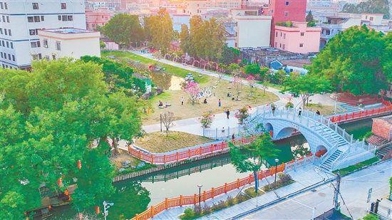 随着“百千万工程”的深入推进，蓬江区持续整治与提升人居环境，让乡村水更清、景更美、环境更宜居，实现华丽蝶变。图为荷塘镇高村村将荒地鱼塘改造为绿美公园。刘淑君