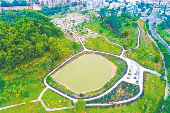 位于沙坪街道的鹤山文化中心绿美示范点变得越来越靓丽。