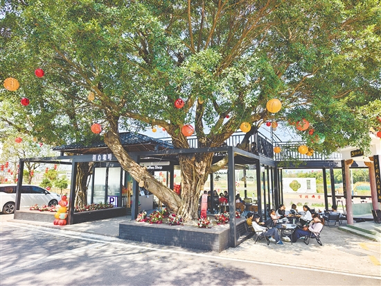 今年春节，初心咖啡成了村里人气最旺的地方之一。