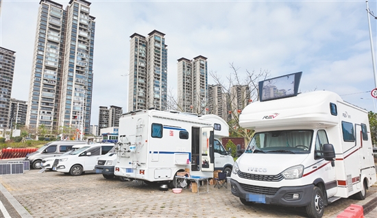 在台城金星湖湿地公园生态停车场,多辆房车有序停放。 在台城金星湖湿地公园生态停车场,多辆房车有序停放。