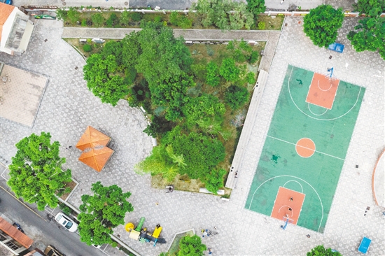 茶坑村将村内荒地和废旧屋舍改造成为休闲公园。