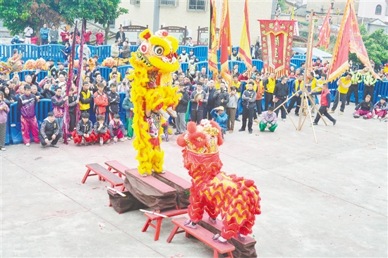 舞狮是花炮会不可或缺的元素。