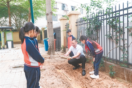 江海区朗晴小学副校长曾志能向学生讲述甘蔗的种植过程。 江海区朗晴小学副校长曾志能向学生讲述甘蔗的种植过程。