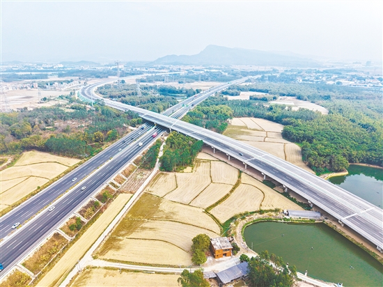 国道G325线鹤山址山至开平塘口段改建工程破解了长期以来国道穿城而过的交通瓶颈，串联起月山、翠山湖、沙塘、赤坎四个互通式立交，直接将翠山湖工业园接入交通主干网。