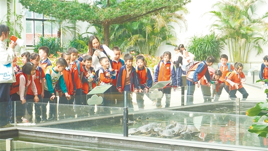 鹤山福伦文旅龟博园聚焦家庭亲子、研学教育等市场。