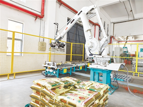 在珍香米业二期项目生产车间，一条现代化、全自动加工线高效运转。