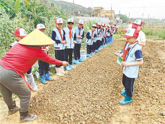 农技人员为学生们教学,一边示范插秧动作,一边强调插秧的关键要点。 农技人员为学生们教学,一边示范插秧动作,一边强调插秧的关键要点。