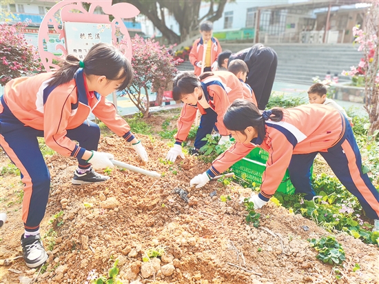学生们在春日暖阳里播下希望的种子,体验劳作的乐趣。 学生们在春日暖阳里播下希望的种子,体验劳作的乐趣。