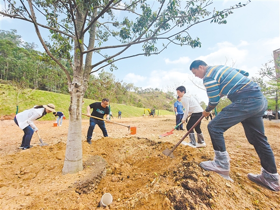 2026年“同心林”义务植树活动现场,各界代表在江门种下一片新绿。郭永乐 2026年“同心林”义务植树活动现场,各界代表在江门种下一片新绿。郭永乐