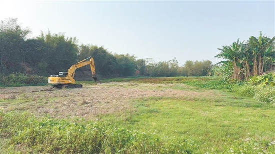 施工队正在进行开荒，保障后续早造播种。