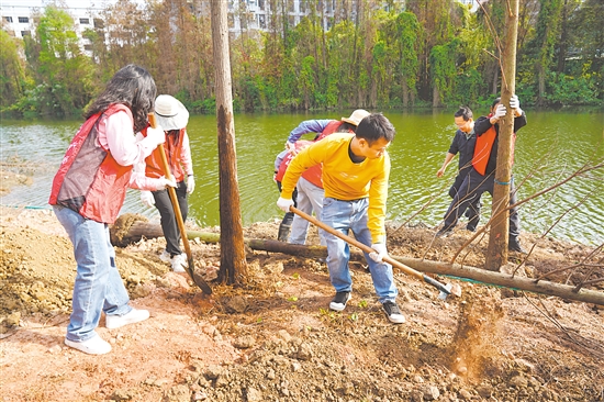 植树活动现场,党员干部共同种下落羽杉,为江海增绿,共绘绿美生态新画卷。 植树活动现场,党员干部共同种下落羽杉,为江海增绿,共绘绿美生态新画卷。