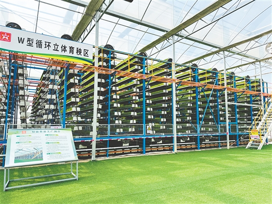 广东供销天禾台山智慧农场已建成1728平方米智能化育秧温室，创新采用W型循环运动立体育秧系统，4.5秒即可完成单盘育秧工序。