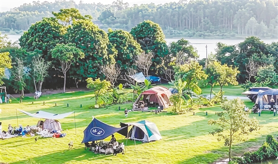 森澜咖啡庄园内的露营基地颇受欢迎。