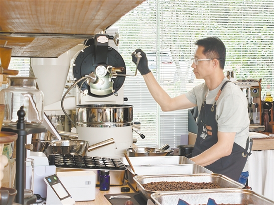 彭水旺希望开平种出的咖啡豆能走向更广阔的市场。
