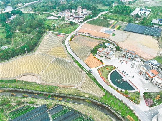 鹤城镇城西村“锦绣城西”开展农用地整治实景图。