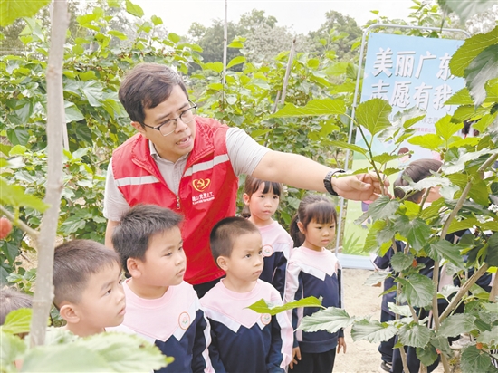 志愿讲师带领孩子们辨识果实的生长形态与品类差异。
