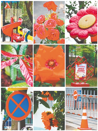 柑橘、屋顶、“雪糕筒”……在Color