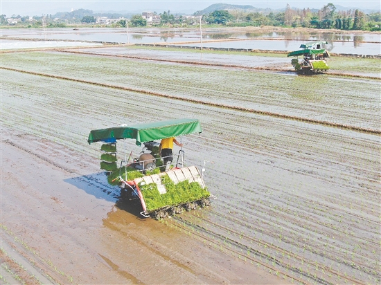 鹤山将始终坚持“藏粮于地、藏粮于技”，全方位筑牢粮食安全防线。