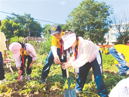 双桥小学积极用好学校劳动实践基地“藕耕苑”,在劳动教育中融入德育。 双桥小学积极用好学校劳动实践基地“藕耕苑”,在劳动教育中融入德育。