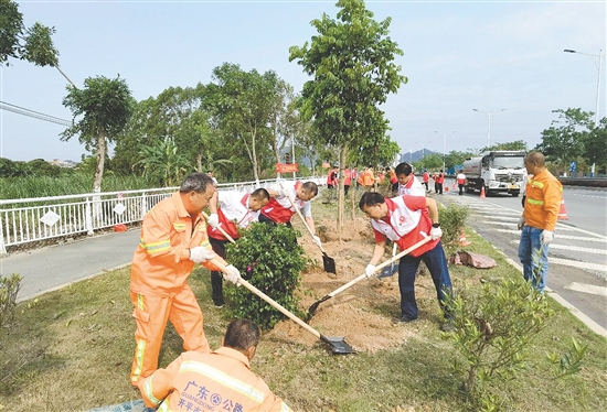 志愿者合力种下绿植。