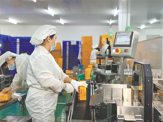 2025年，特一药业实现营业收入9.25亿元，其中公司核心产品“特一”牌止咳宝片全年销售6.36亿片。