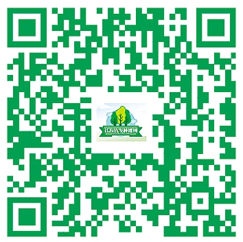 线上植树 线上植树
