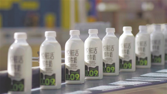 君乐宝“悦鲜活鲜牛奶”在广东市场的占有率已达30%左右。