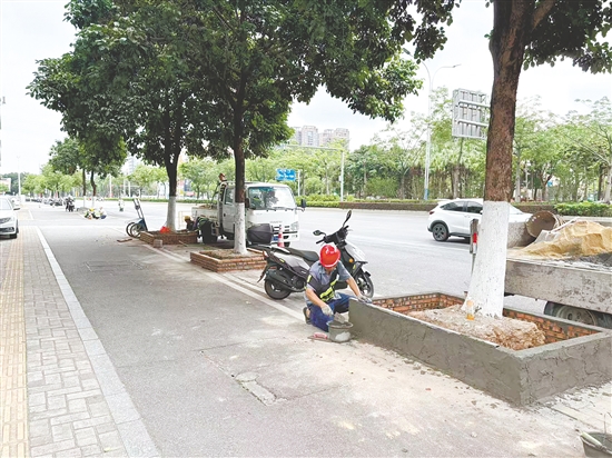 工人正在进行树池拓宽工作。