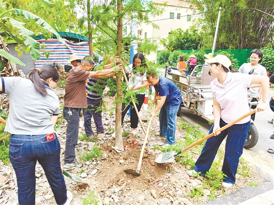 君堂镇组织人大代表参加植树活动。