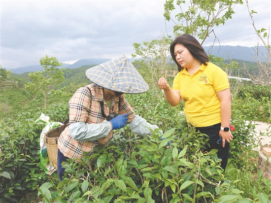 开平市大沙里农业科技发展有限公司
