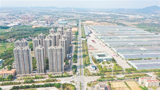 台山工业新城将美化、绿化、亮化提升工程列为重点工作，持续优化人居风貌，全力打造一流营商环境。