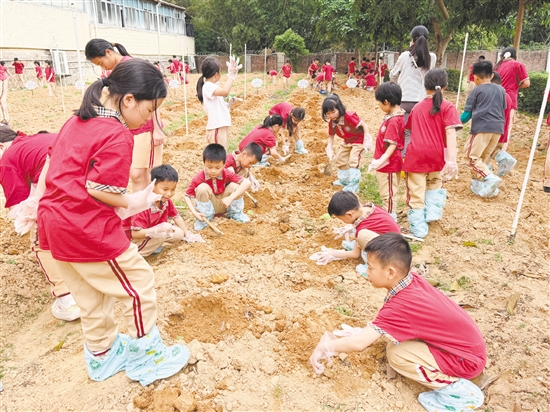 该校打造“幸福劳动种植基地”，让学生全程参与播种、养护、生长、收获全周期农耕体验。