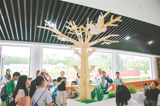 亲子家庭走进江门小鸟天堂国家湿地公园，开展沉浸式生态研学。
