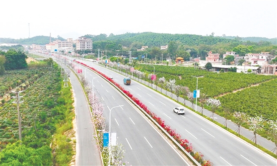 省道S270线鹤城至杜阮段扩建工程（鹤城小官田村至共和宝丰新城段）。