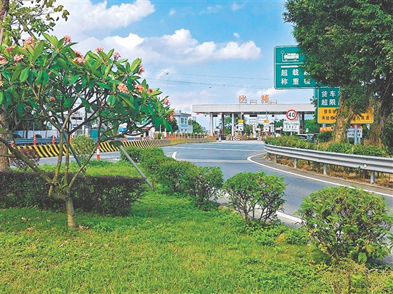 开平市以高位推动的力度、系统治理的广度、示范引领的深度，推动城乡面貌实现从“一处美”向“全域美”、从“一时美”向“持久美”的深刻嬗变。