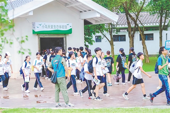 越来越多研学、旅游团队走进小鸟天堂国家湿地公园。 越来越多研学、旅游团队走进小鸟天堂国家湿地公园。