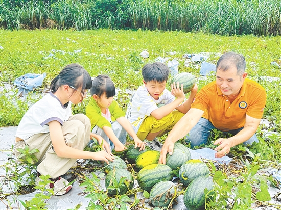 孩子们在农场体验有机作物采摘,谭林盛为大家讲解有机农业知识。 孩子们在农场体验有机作物采摘,谭林盛为大家讲解有机农业知识。