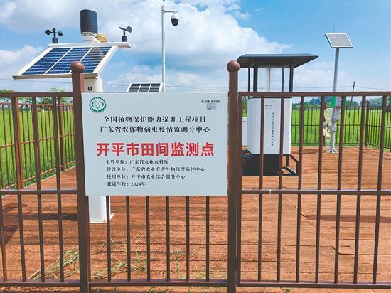 田间监测点配备智能设备,及时监测虫情。 田间监测点配备智能设备,及时监测虫情。
