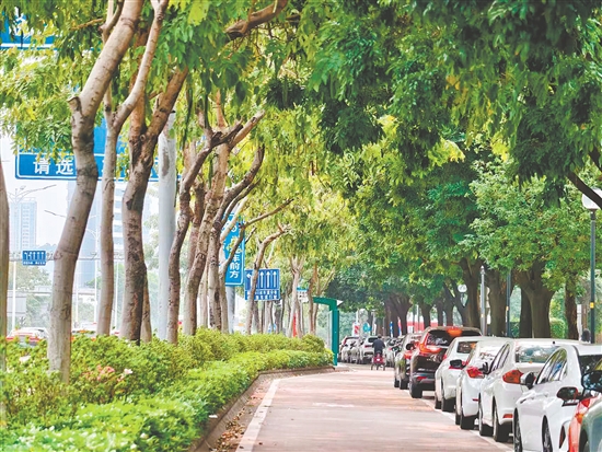 依托人民设计师的专业力量，江门对全市163条道路逐一摸排，并因地制宜制定提升方案。图为白石大道街景。郭永乐
