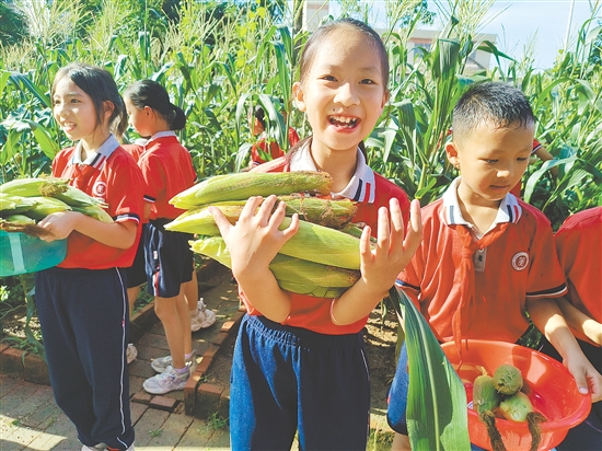 学生们在劳动中收获了知识和成长。