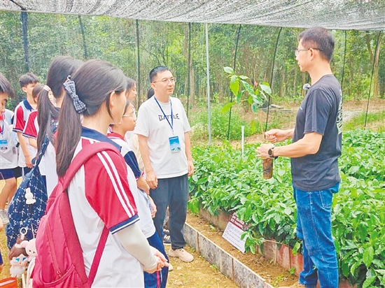 开侨中学的学生们在学习了解咖啡全套种植技术。