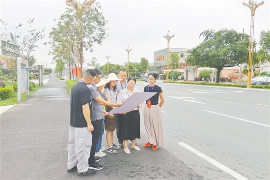镇人大代表全程跟进项目进展，定期组织现场视察，听取群众意见，推动解决问题。