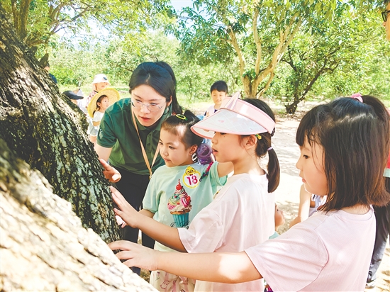 导师带领孩子们踏上“五感探树之旅”。