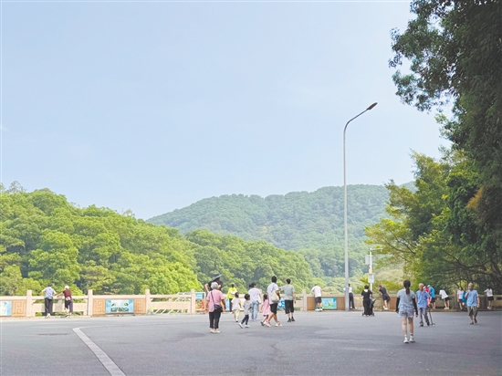 群星公园是市民休闲健身的热门打卡地。