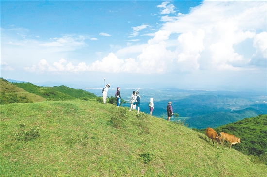 牛塘山被誉为“广东武当山”,山上草甸的美景令人心驰神往,是广大户外爱好者的必选之地。 牛塘山被誉为“广东武当山”,山上草甸的美景令人心驰神往,是广大户外爱好者的必选之地。