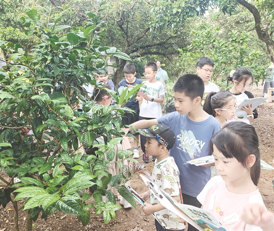 在户外进行的“法典守护打卡线”游戏趣味十足。