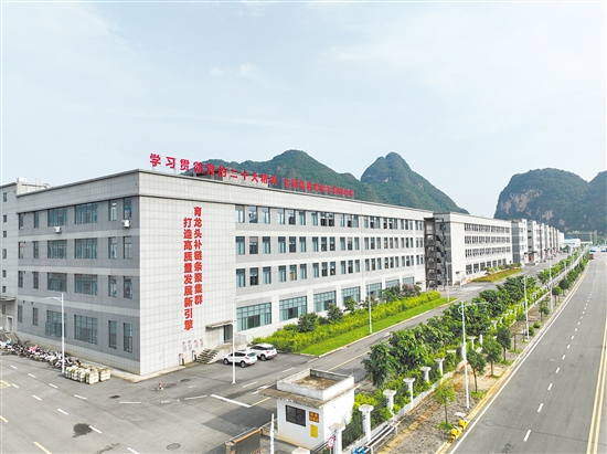 江海区与大新县共建的大新县新材料智造产业园。