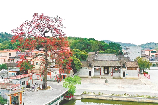 良溪村守住古村原生肌理与历史风貌，让到访者更好地品读“后珠玑巷”深厚的文化底蕴。