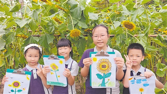 江海区礼乐街道丰盛村打造都市农耕研学基地，图为学生在田间研学写生。毕松杰
